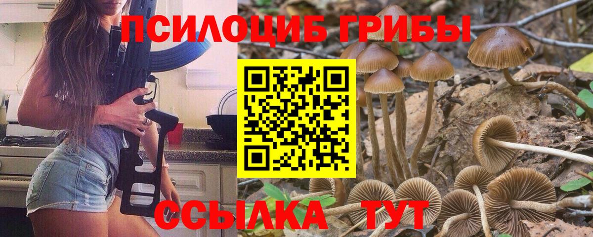 COCAIN  МЕФ кристаллы  Экстази  КОКАИН  МЕТАМФЕТАМИН  Канабис  Alpha-PVP СК   ГАШИШ  Как найти наркотики?  Алапаевск  Вход с VPN 