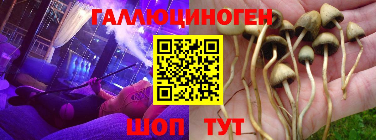 Псилоцибиновые грибы Psilocybine cubensis  Вход с VPN  Алапаевск  Псилоцибиновые грибы Psilocybine cubensis 